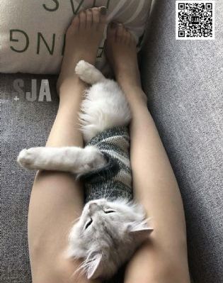 小苹果全集免费观看完整版