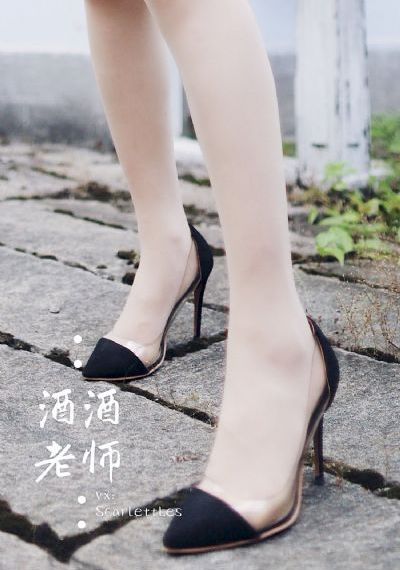 与君歌电视剧全集免费播放