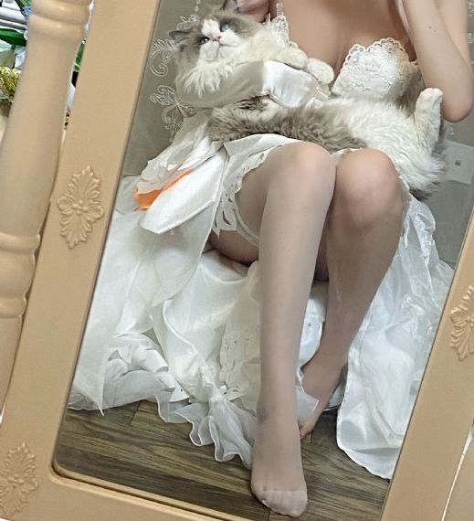 猫女的诅咒