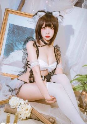 藏海花电视剧
