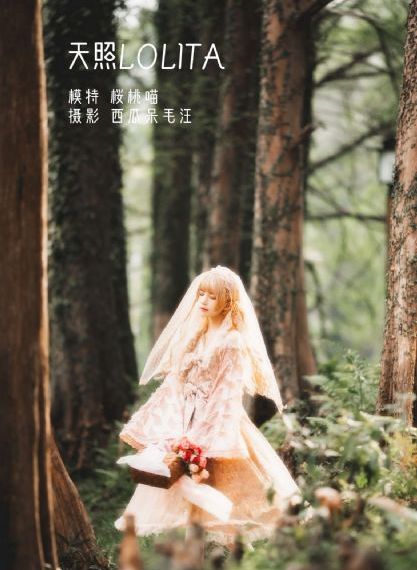 远远的爱全24集