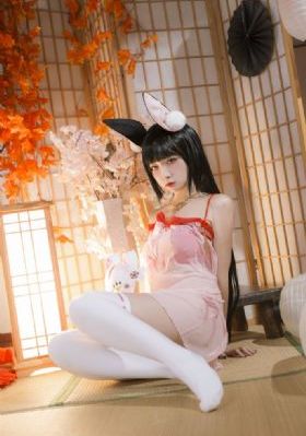 楚汉传奇80集免费完整版